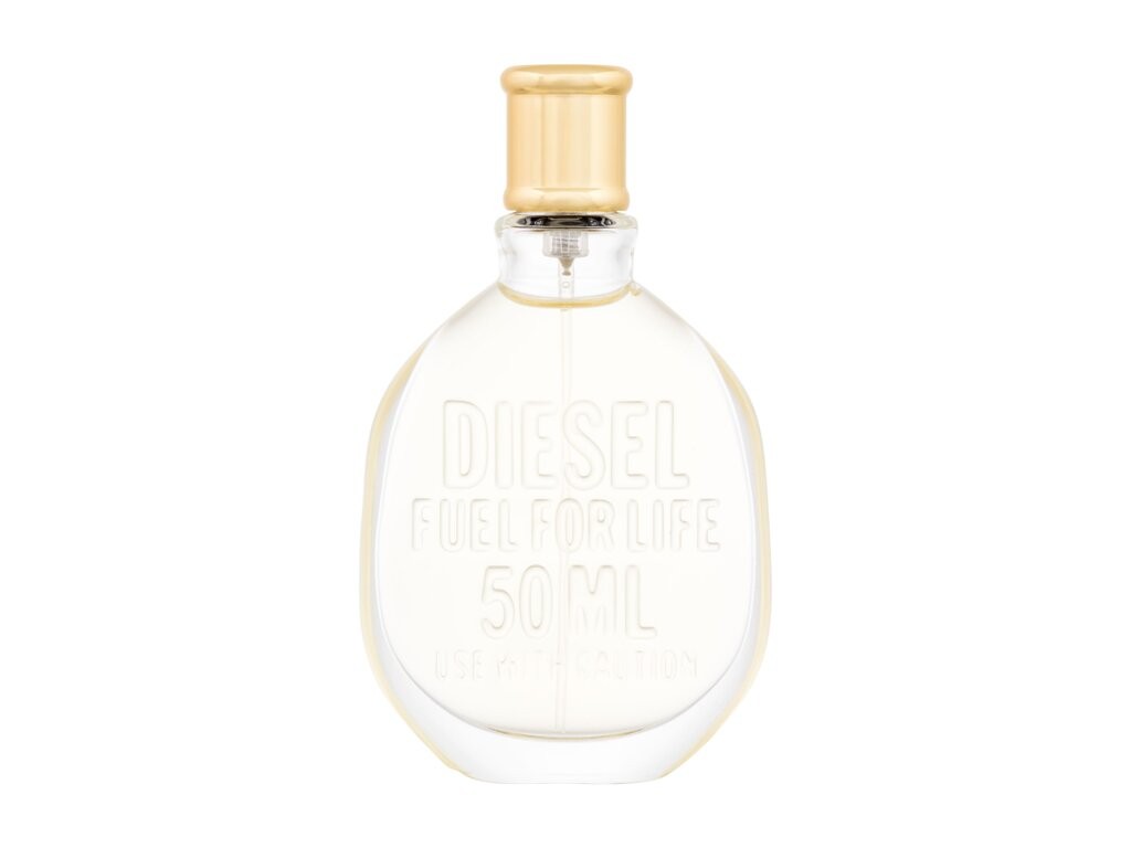 Shiseido Future Solution LX (make-up)
