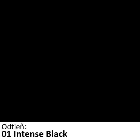 01 Intense Black