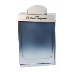 Ferragamo Subtil Pour Homme (toaletná voda)