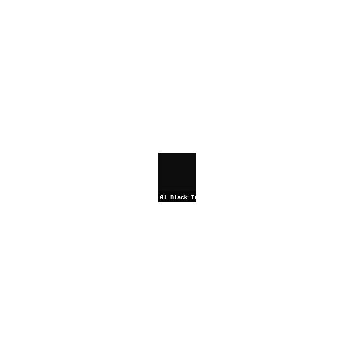 01 Black Tulip
