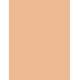 62 Warm Beige