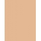 03 Neutral Beige