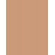 2N