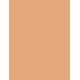 NC20