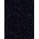842 Starry Night