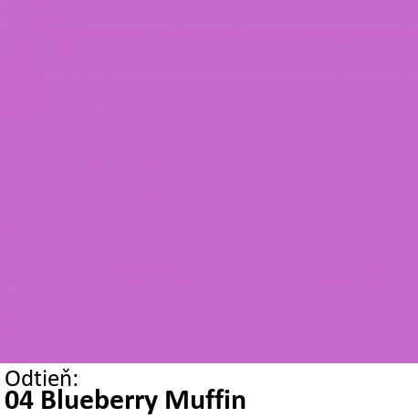04 Blueberry Muffin