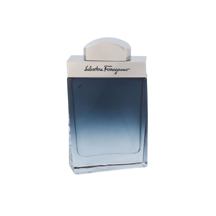 Ferragamo Subtil Pour Homme – Toaletná voda pre mužov