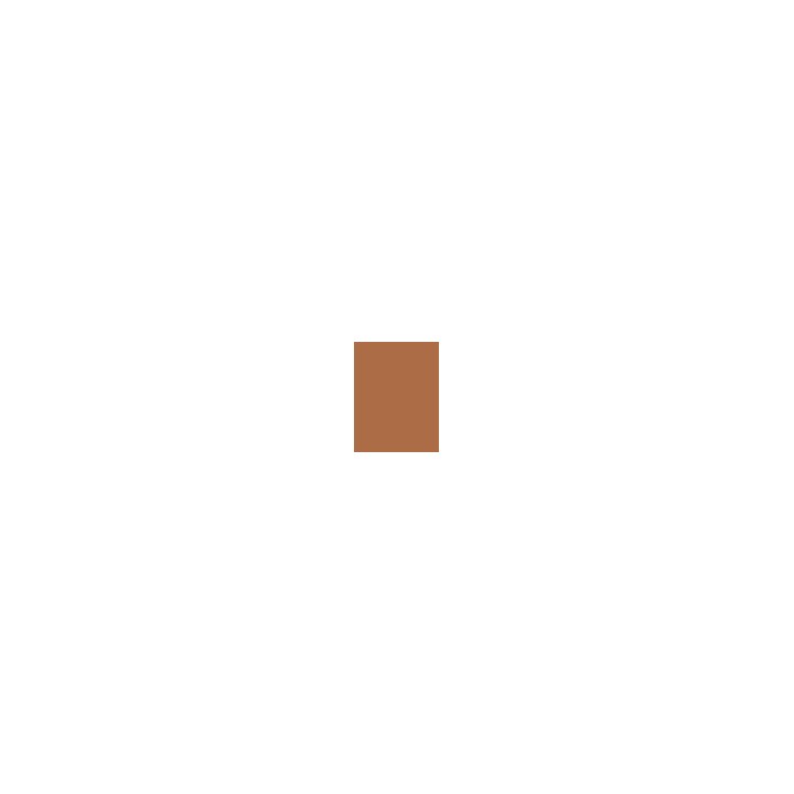 510 Cinnamon