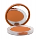 Clinique True Bronze (bronzer)