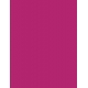 210 Back To The Fuchsia
