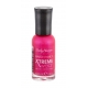 Sally Hansen Xtreme Wear (lak na nechty)
