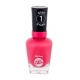 Sally Hansen Miracle Gel (lak na nechty)