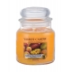 Yankee Candle Mango Peach Salsa (vonná sviečka)