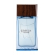 Lolita Lempicka Homme (toaletná voda)